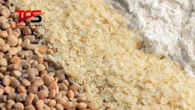 صمغ گوار یا گوارگام (guar gum)