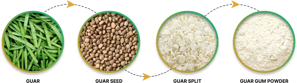 اشکال محتلف گوارگام